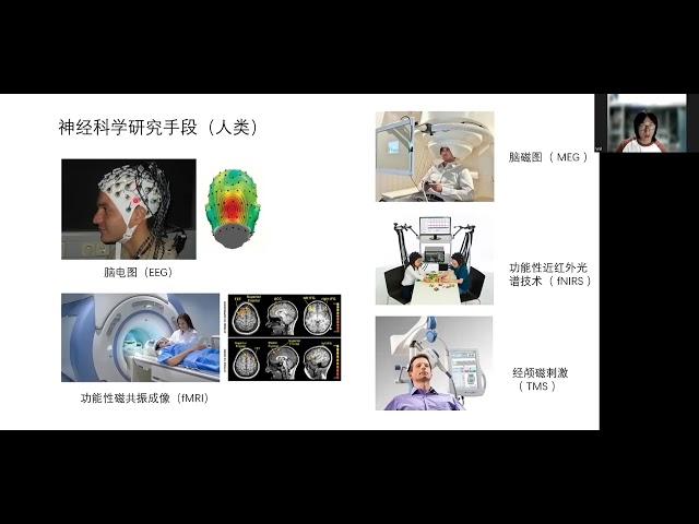 新闻话语&认知神经科学