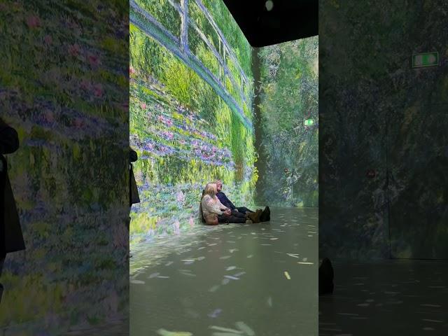 The most amazing exhibition called ‘frameless’ can be found in Marble Arch. Highly recommend