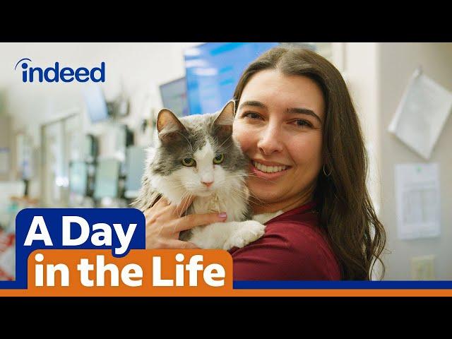 A Day in the Life of a Veterinarian | Indeed