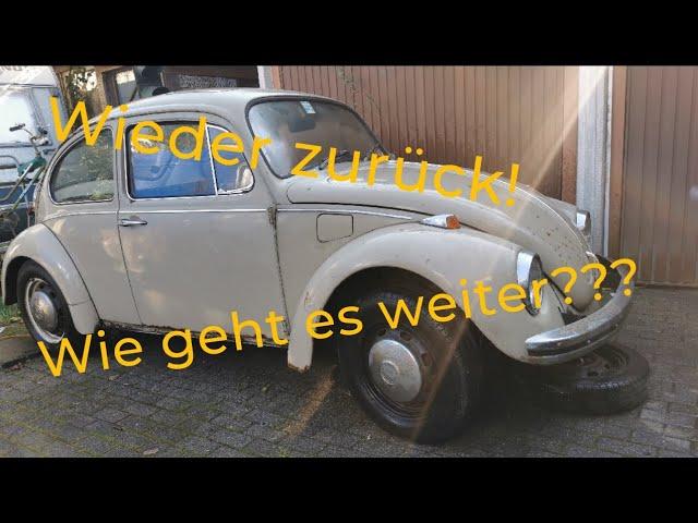 Neues Projekt VW Käfer von 1969 Ein echter Scheunenfund