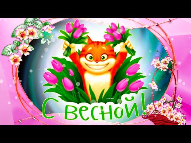 С весной! Тебе букетик! Желаю счастья! - Музыкальная открытка с пожеланиями для друзей!