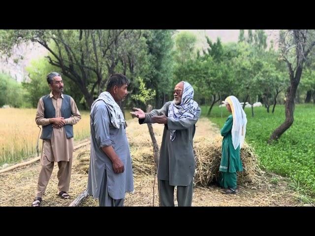 Village life | Rural life in Jaghori Afghanistan |  زندگی روستایی در افغانستان زندگی روستای جغوری