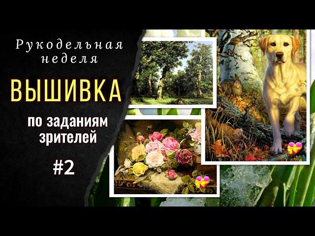 Новый СТАРТ! Вышивка по заданиям зрителей №2.