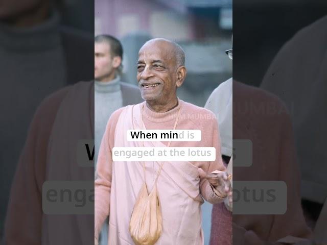Dimensions Beyond the Mind l Srila Prabhupada #motivation #srilaprabhupada #krishna