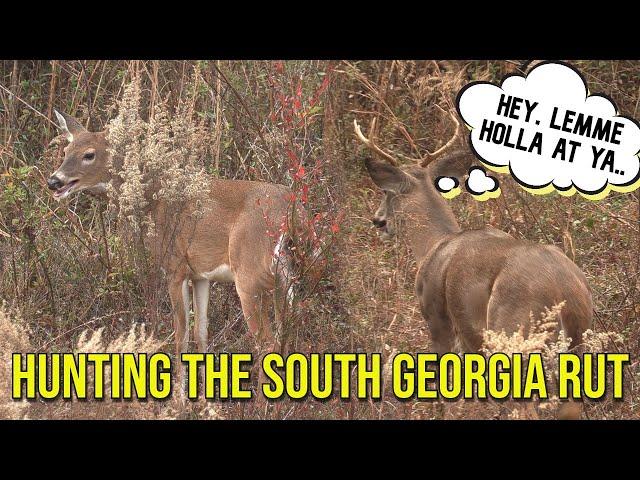 Hunting the South Georgia RUT!! | 2023 Deer Season