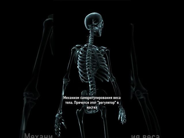 научный, инновационный способ похудеть #фитнес #диета