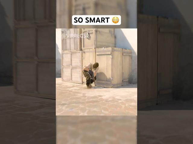 CS2 Pros are so Smart 