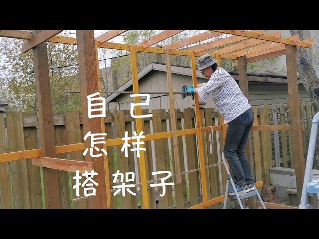 How to set up a shelf for climbing vines