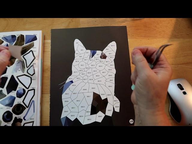 Brain Games Cat Sticker By Number