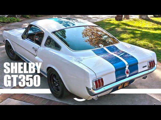 LOUD Shelby GT350 Screaming Through the Canyons