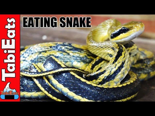 EPIC Chinese Food Tour in Hong Kong-Snake Soup