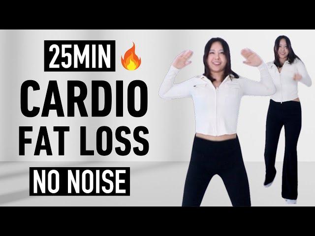 25 Min DIET DANCE WORKOUT, fat burning cardio aerobics! to lose weight