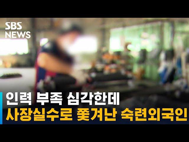 인력 부족 심각한데 쫓겨난 숙련 외국인…사장 실수였다 / SBS