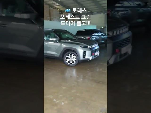 쌍용 토레스 출고 드디어 마주하다
