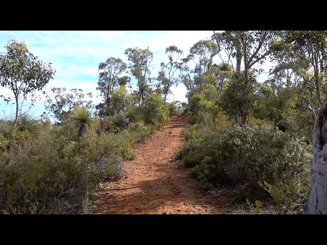 Australian Bushwalk - Australian Bushwalking Sounds (Binaural Sound)