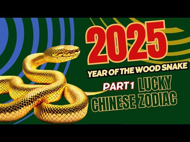 CHINESE ZODIAC 2025 - Year of the Wood Snake Predictions #2025horoscope