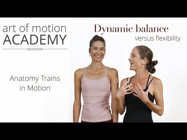 Dynamic Balance Versus Flexibility | Anatomy Trains in Motion