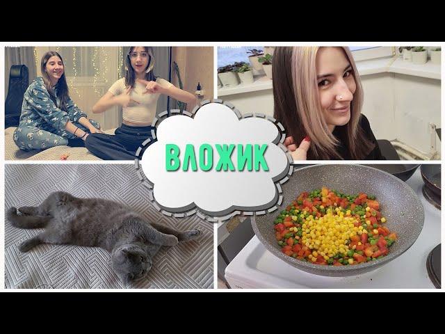 КРИС ЗАВЕЛА КОТА/ ЧТО С АЛЛЕРГИЕЙ?/ МАСЯ В СТРЕССЕ /ГОТОВЛЮ ГАВАЙСКУЮ СМЕСЬ