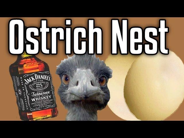 The Ostrich Nest - Epic Meal Time