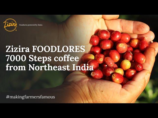 What is Northeast Coffee? | Zizira | 7000 Steps Coffee| March 2022 | Meghalaya coffee