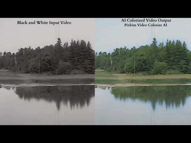 Black and White Video Colorization using Pixbim Video Colorize AI