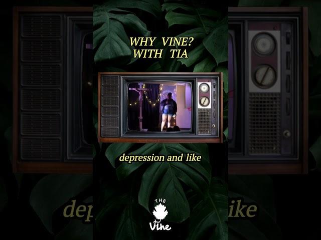 the vibes are uplifting  | why vine? stories from the class of 24  |  pt ix - tia