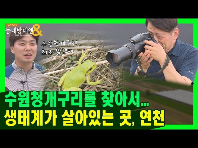 멸종위기 야생생물 1급이 산다?! 자연으로 둘러싸인 연천 투어ㅣ로드다큐 동네방네엔 63회