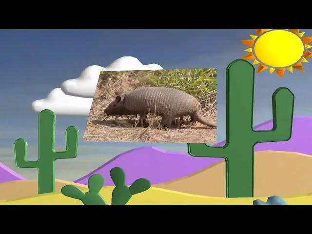 Texas man hits himself by shooting Armadillo !