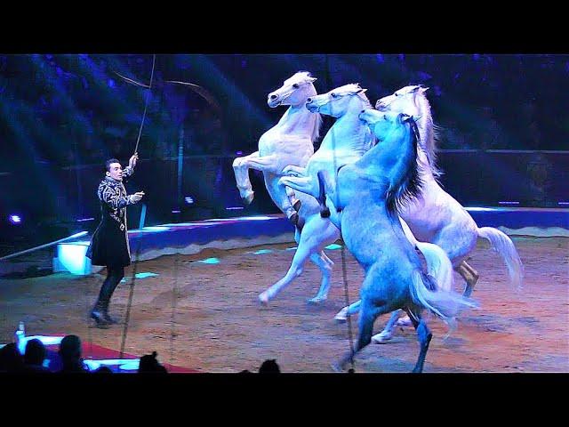 HORSES OF THE WORLD • THE SWISS NATIONAL CIRCUS