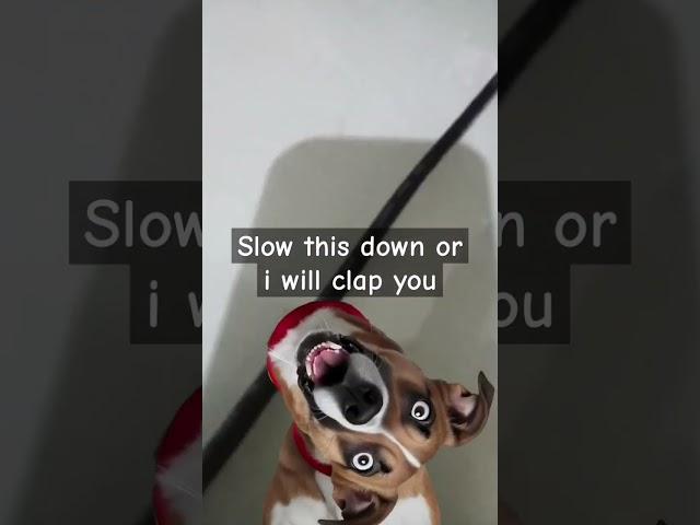 #sigma1