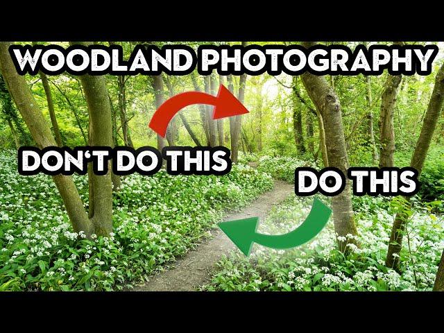 The DOs and DON'Ts of WOODLAND PHOTOGRAPHY