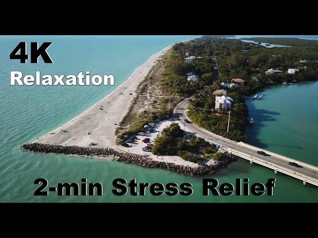 [4K] 2-min Stress Reducer - Serene Scenes | Relaxation | Calm | Cinematic | [UHD] - Florida, USA