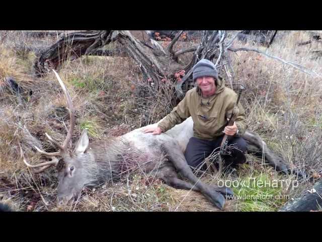 Deer hunting in Siberia - Organised by Lenatour
