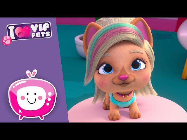  Tierische TANZ-WELT  VIP PETS  Neue Folge  CARTOONS und SERIEN für KINDER auf DEUTSCH