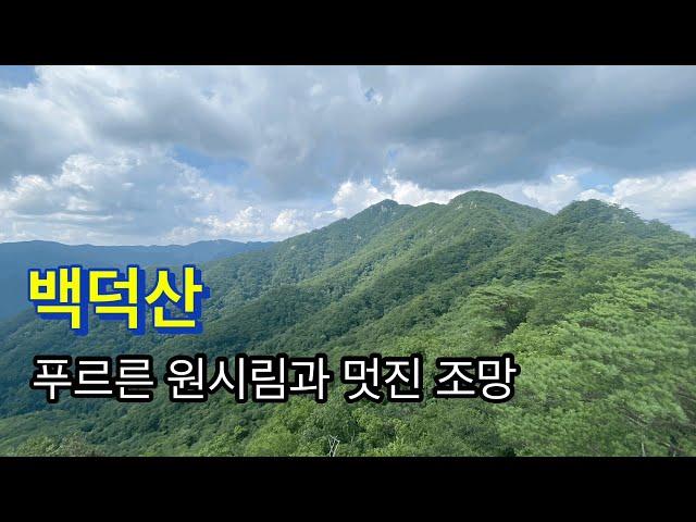 220821 / 백덕산 / 푸르른 원시림과 멋진 조망 / 흥원사(구.관음사)-설통바위-제단터-용바위-백덕산-촛대바위-신선바위-흥원사 입구 /