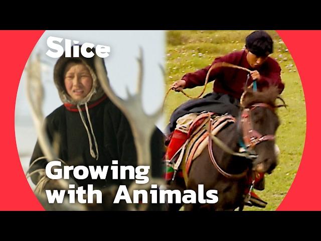 Mustang Horse Races to Arctic Reindeer Herds: Nima and Edik's Journey with Their Animals | SLICE