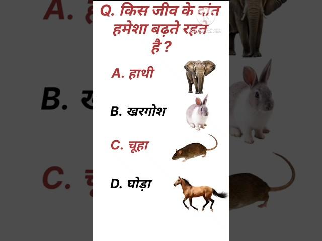 Gk questions and answer||Gk question||NR GIRI GK STUDY #gk #shorts #short #shortvideo