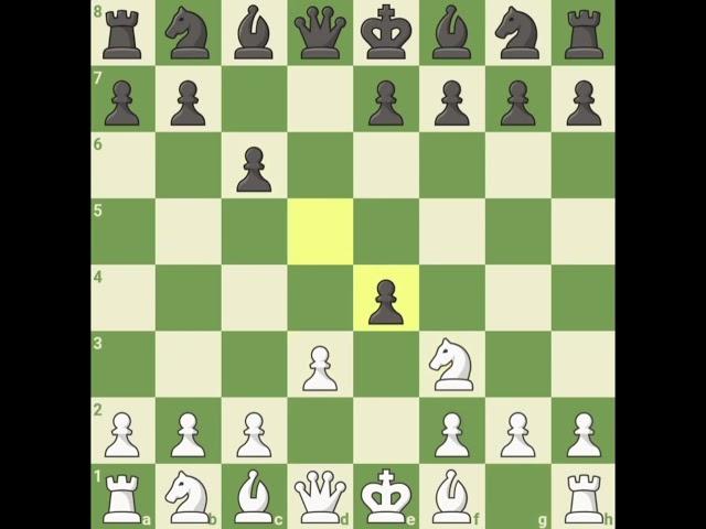 New queen's gambit #chess #youtubeshorts #shorts #youtube