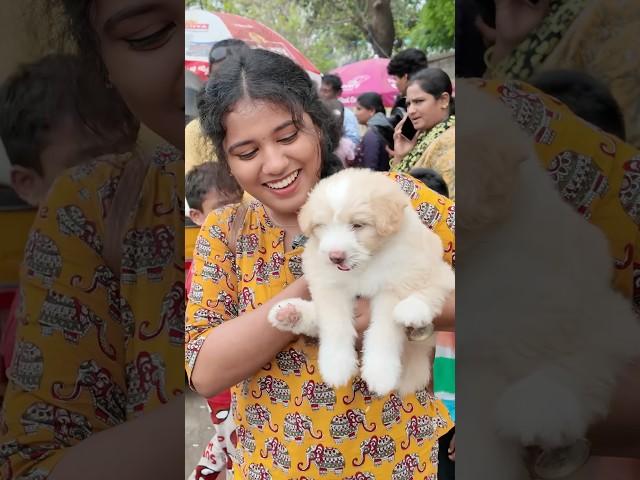 Market Polama? Exploring Pallavaram Friday Market️ || #shorts || Preetha Vibes