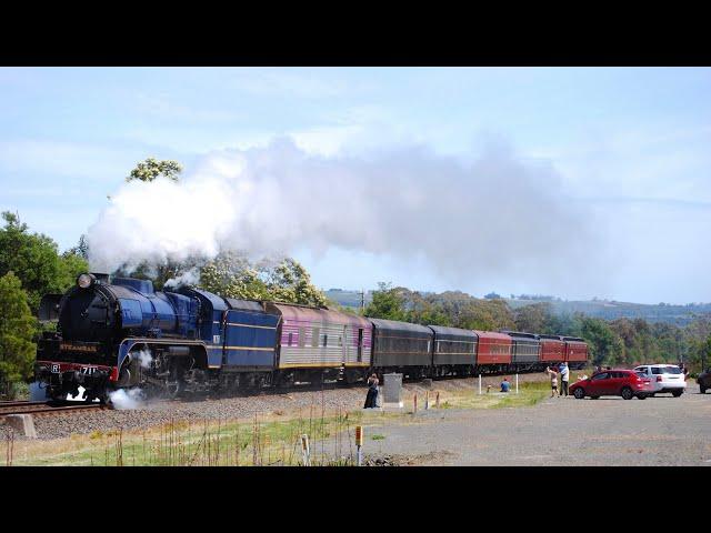 Steamrail's Morwell International Rose Garden Festival Train