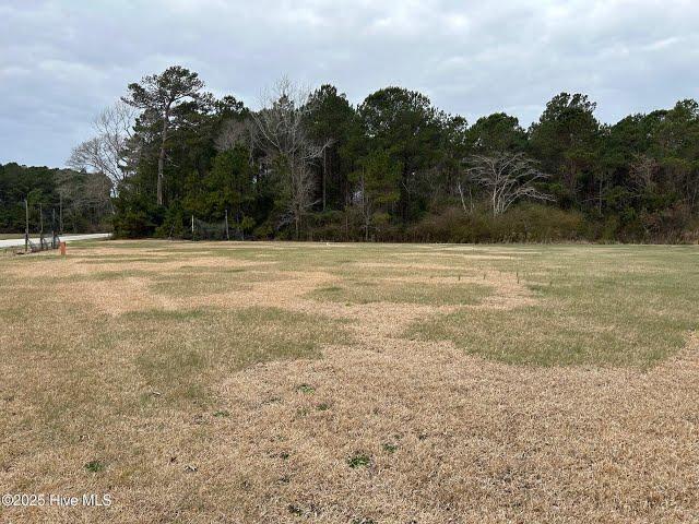 Homes for sale - 840 Newport Loop Road, Newport, NC 28570