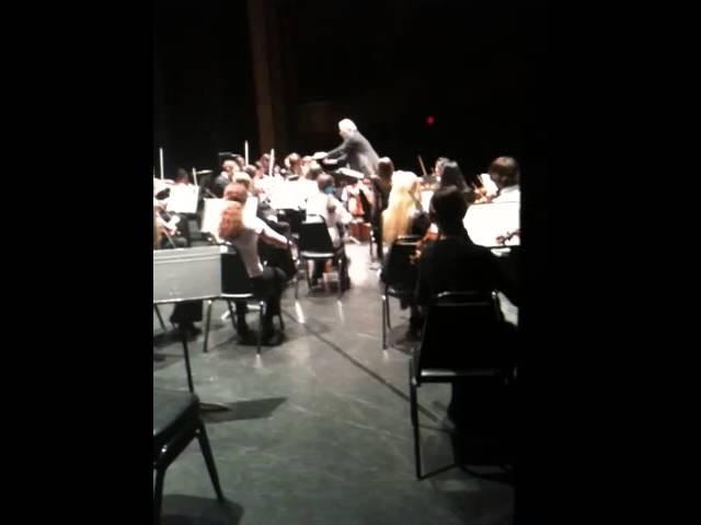 Youth Orchestra of the Southern Finger lakes