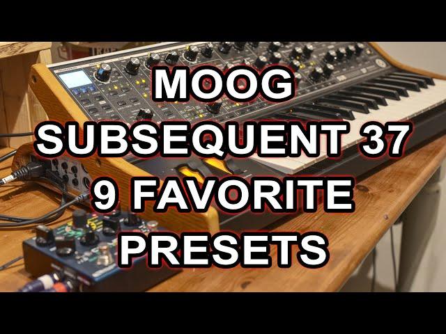 Moog Subsequent 37 // 9 favorite presets