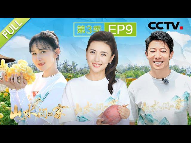 【Full】张睿、张舒越争当霸气“芒果王”，撒贝宁、麦家体验嫁接月季花 | CCTV「山水间的家 第三季」第9期 20241104