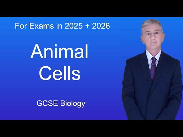 GCSE Biology Revision "Animal Cells"