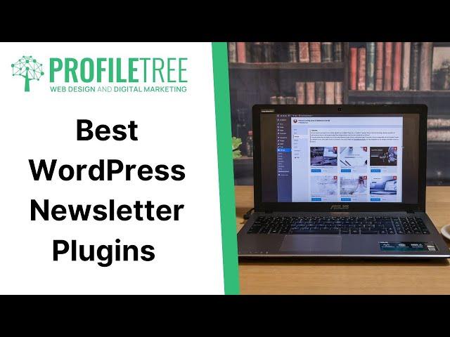 Best WordPress Newsletter Plugins | WordPress Plugin | WordPress Tutorial | Build WordPress Website