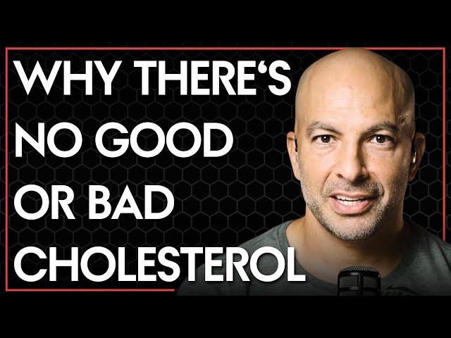 Why there's no good or bad cholesterol