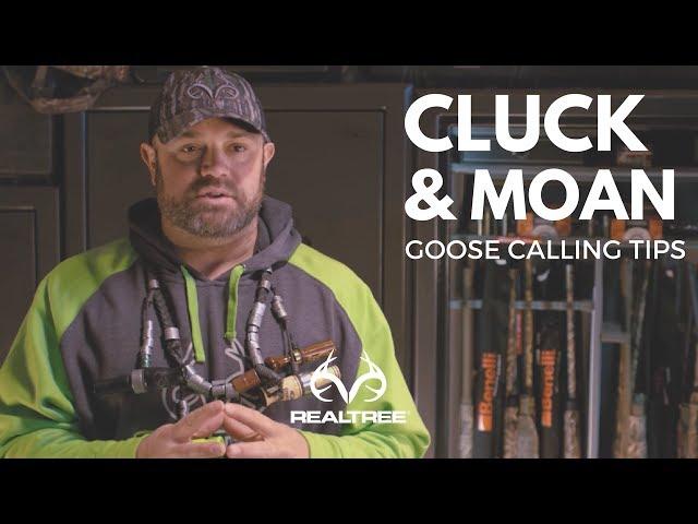 Goose Calling Tip: Perfecting The Goose Cluck and Moan