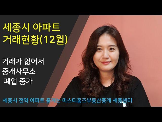 거래가 너무 없다 - 세종시 아파트 24년 12월 기준 한달간 거래량 샅샅이 살펴보자