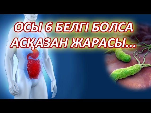 Мына 6 БЕЛГІ сізде болса АСҚАЗАН ЖАРАСЫ ауруынан, ГАСТРИТ ауруының 6 белгісі, Керек арнасы